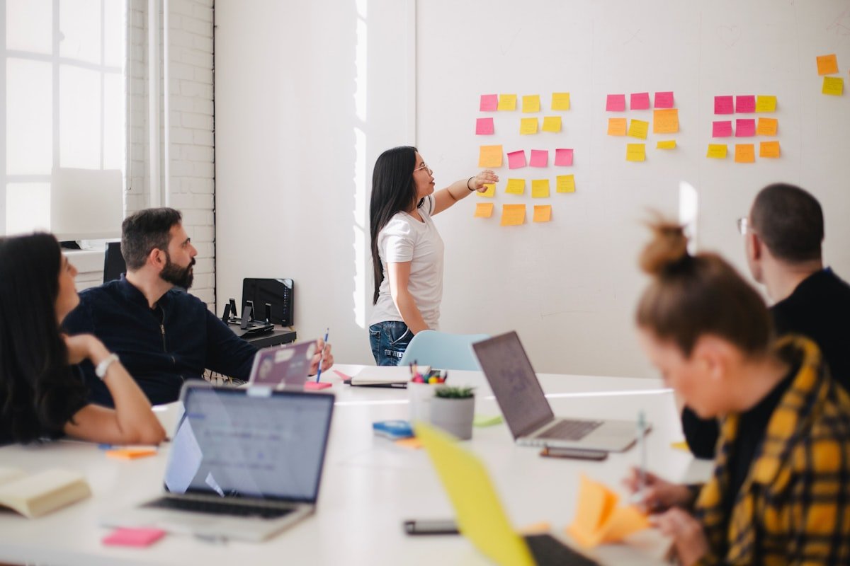 Professional software delivery and collaboration